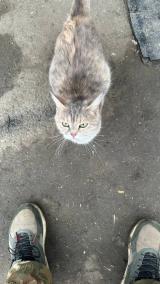 Тупи4ок Дизайнера #ШВО