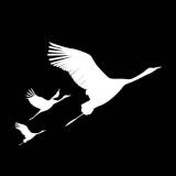 💐 ROZA DV INT 💐 РОЗА ДВ ИНТ 💐