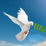 Галина Царёва (официальный)