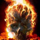 🔍 Форензика в Арбитраже