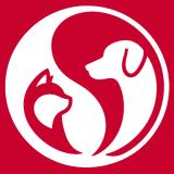 Канал про собак и кошек.