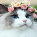 Скидки мамочки Красота требует жертв