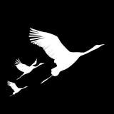 Настоящий Булгаков