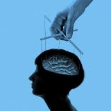 Раскрой потенциал