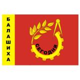 Балашиха Сегодня