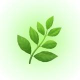 🌿Канал про здоровье