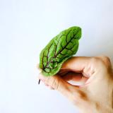 Нутрициология • Здоровая Еда — Telegram канал