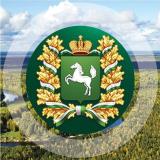 Томский Взгляд