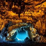 Antifomo Cave [Тестнеты, Ретродропы]