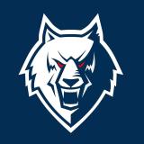 Волчья стая. Канал ХК Нефтехимик