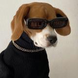 нехилый гороскоп