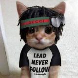 цитаты рэперов — Telegram канал