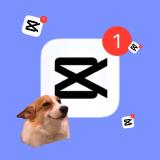 ШАБЛОНЫ CapCut / МЕМЫ REELS — Telegram канал