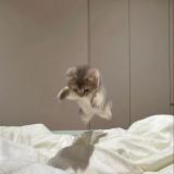 сумасшедший гороскопчик