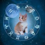 Lixinkkk | Таро | Гороскоп — Telegram канал