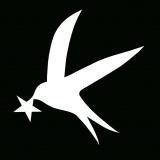 Цифровая Ласточка | DieSchwalbe.online