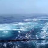 MASHNEWS | Русский флот