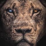 МОТИВАЦИЯ|БИЗНЕС|САМОРАЗВИТИЕ|dushevn01 - Telegram канал