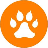 СМЕШНЫЕ ЖИВОТНЫЕ ПРИКОЛЫ ЮМОР — Telegram канал