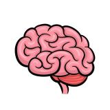 Наука и Факты — Telegram канал