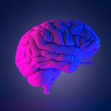 С головой в TON