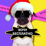 Хочу БЕСПЛАТНО 🟨 Скидки на WB / Ozon / Yandex Market