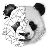 magic.bear’s casting (кастинги Бориса Ржезака)