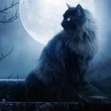 Мистика.Реальные истории. — Telegram канал