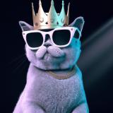 Rolexxx 👑 community