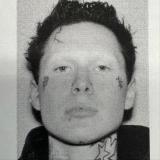 9mice на каждый день 丰 - Telegram канал