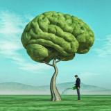 Со Смыслом | Психология | Цитаты - Telegram канал