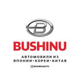 BUSHINUAUTO
