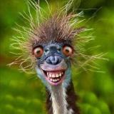 РЖАКА 🤣 ПРИКОЛЫ 🤪 ЮМОР СМЕШНЫЕ ВИДЕО 🔥🔥🔥 — Telegram канал