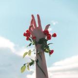 Истина на ладони | Саморазвитие