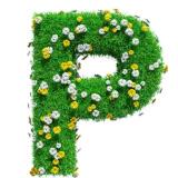 РАЗВЛЕКАЛОВО | Юмор, фотоприколы, смешные видео — Telegram канал