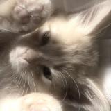 Мелвсик на связи!