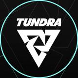 Tundra Esports