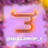 Промокоды на Bulldrop