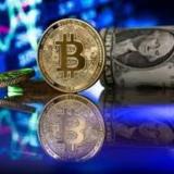 💰💰CRYPTO BOX & CRYPTO BOX💰💰